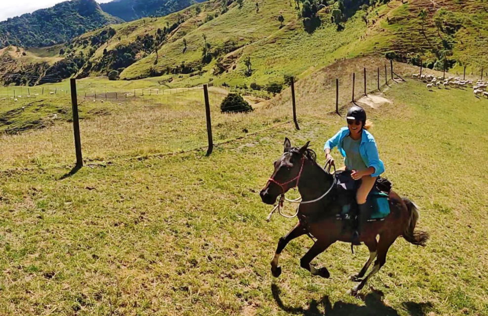 The River Valley Ride, North Island, New Zealand - Globetrotting horse riding holidays
