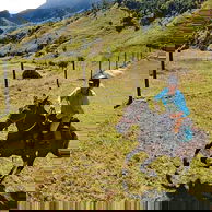 The River Valley Ride, North Island, New Zealand - Globetrotting horse riding holidays