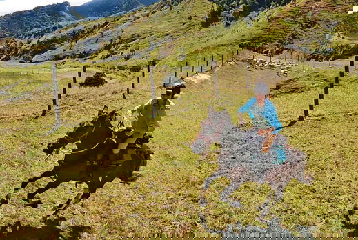 The River Valley Ride, North Island, New Zealand - Globetrotting horse riding holidays