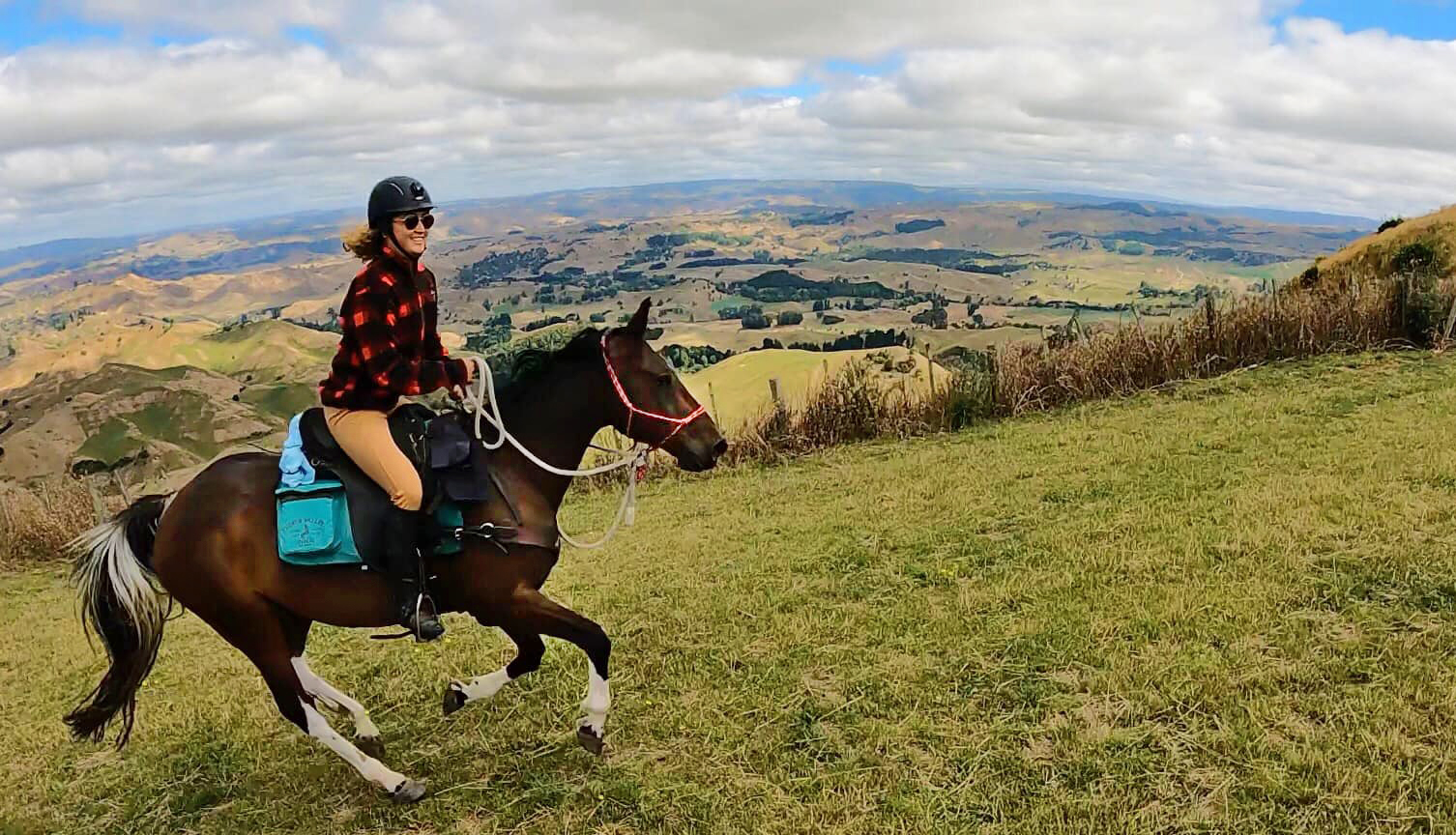 The River Valley Ride, North Island, New Zealand - Globetrotting horse riding holidays