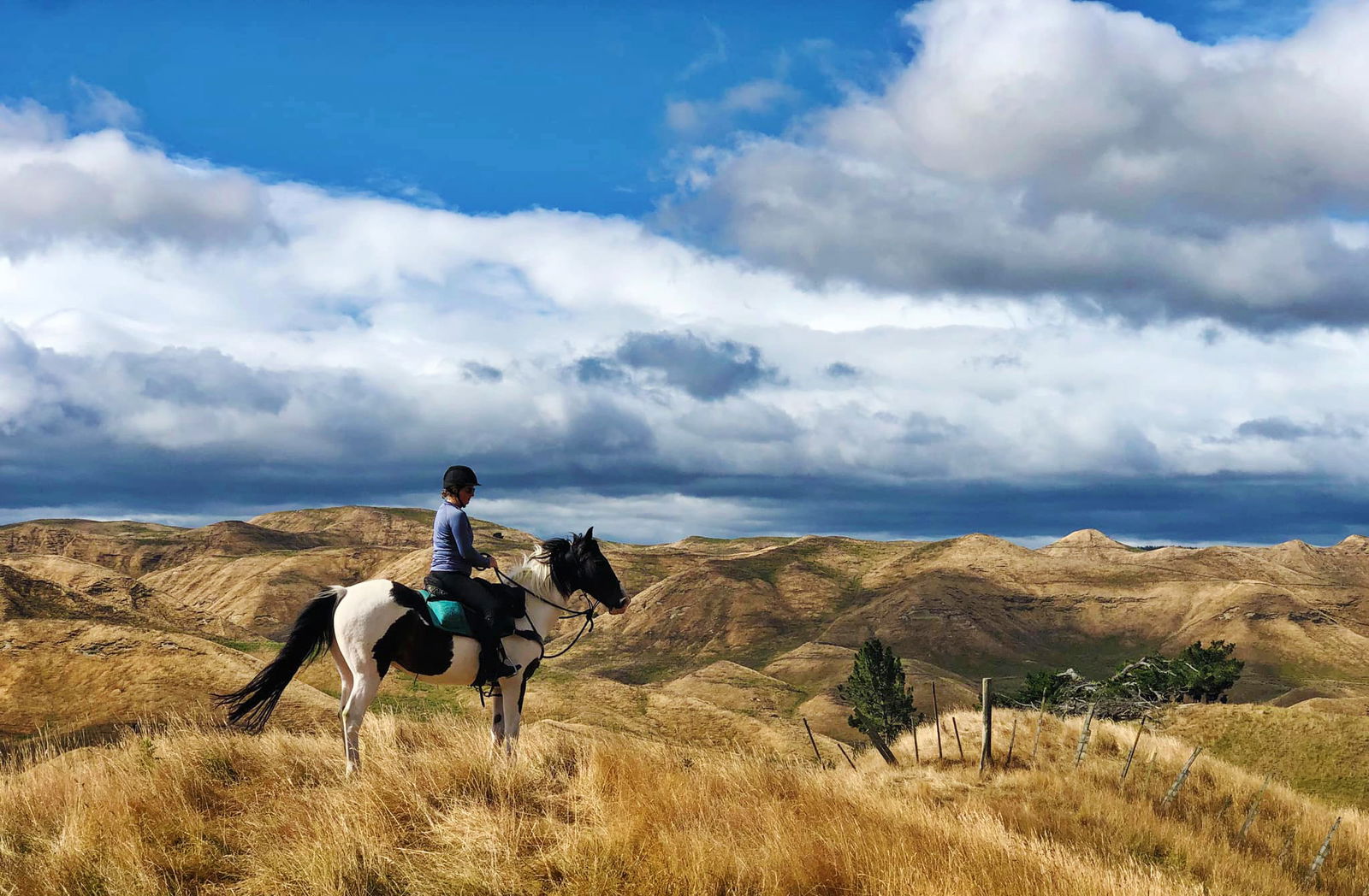 The River Valley Ride, North Island, New Zealand - Globetrotting horse riding holidays