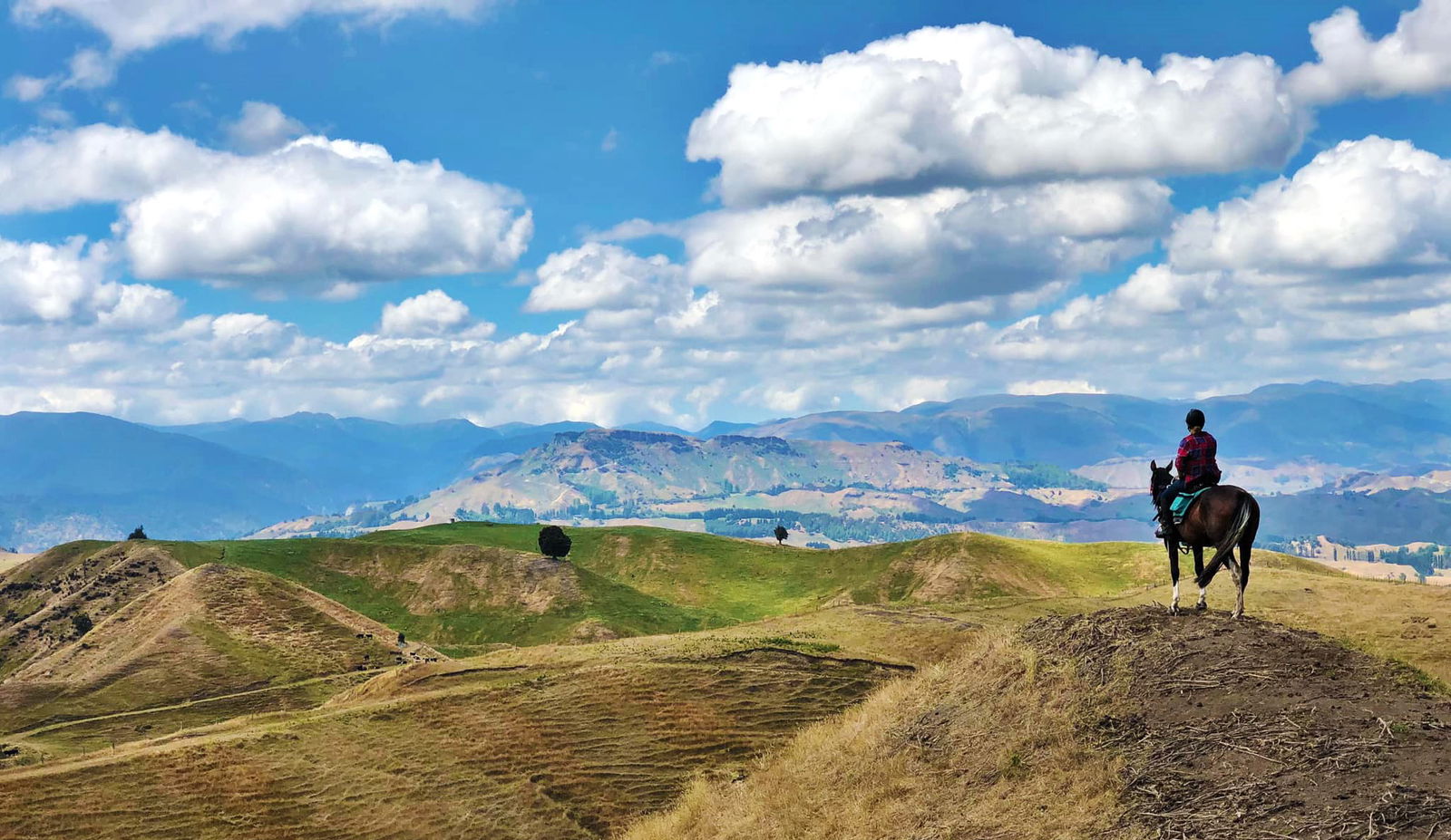 The River Valley Ride, North Island, New Zealand - Globetrotting horse riding holidays