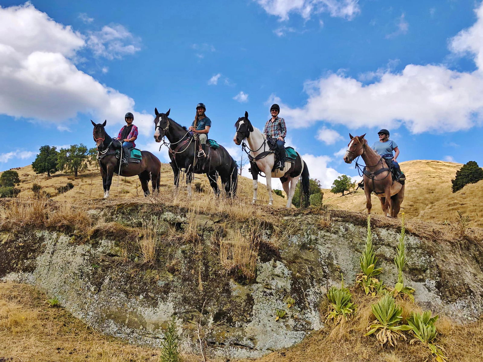 The River Valley Ride, North Island, New Zealand - Globetrotting horse riding holidays