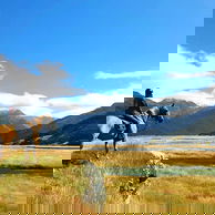 Glenorchy Back Country Ride, South Island, New Zealand - Globetrotting horse riding holidays