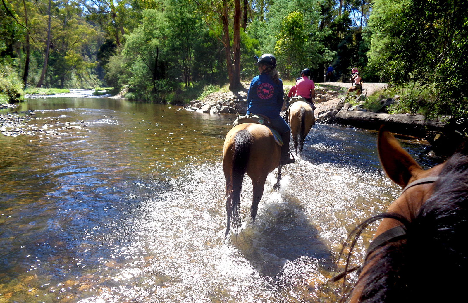 Howqua River Ride, Victoria, Australia - Globetrotting horse riding holidays