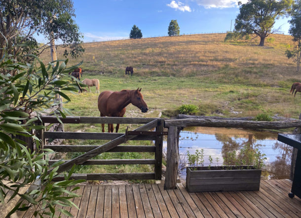Yarra Valley Ride, Victoria, Australia - Globetrotting horse riding holidays