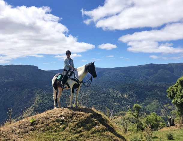 The River Valley Ride, North Island, New Zealand - Globetrotting horse riding holidays