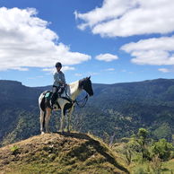 The River Valley Ride, North Island, New Zealand - Globetrotting horse riding holidays