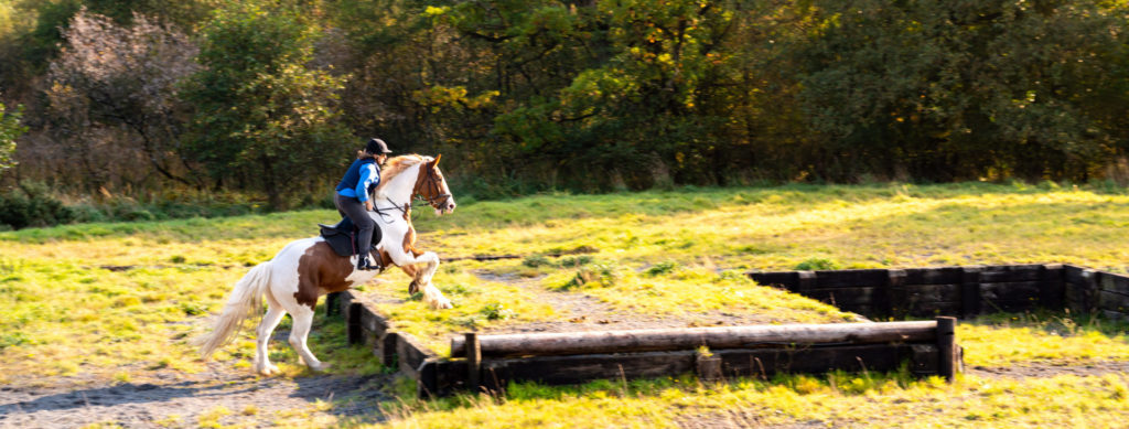 Castle & Estate Ride, Ireland - Globetrotting horse riding holidays