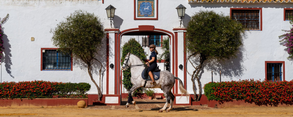 Dressage in Andalusia, Spain - Globetrotting horse riding holidays