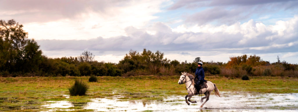 Camargue Ride, France - Globetrotting horse riding holidays