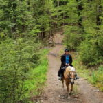 Glenorchy Back Country Ride, South Island, New Zealand - Globetrotting horse riding holidays