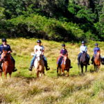 The Shoalhaven Ride, New South Wales, Australia - Globetrotting horse riding holidays
