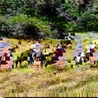 The Shoalhaven Ride, New South Wales, Australia - Globetrotting horse riding holidays