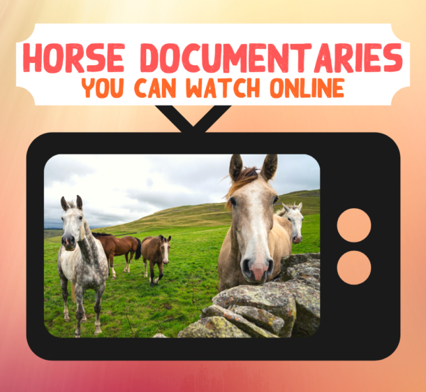 Horse Documentaries You Can Watch Online - Globetrotting horse riding holidays