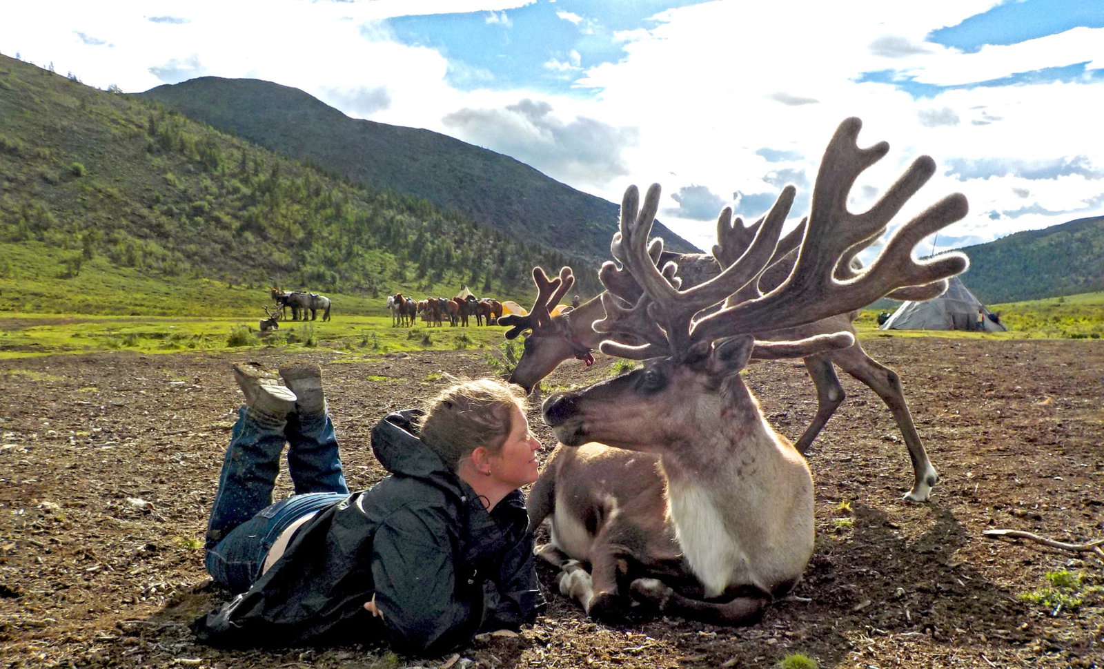 19 day Khovsgol Ride, Mongolia - Globetrotting horse riding holidays