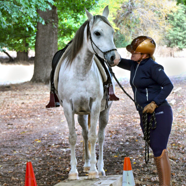 The Grape Horse Adventure, Barossa Valley, South Australia - Globetrotting horse riding holidays