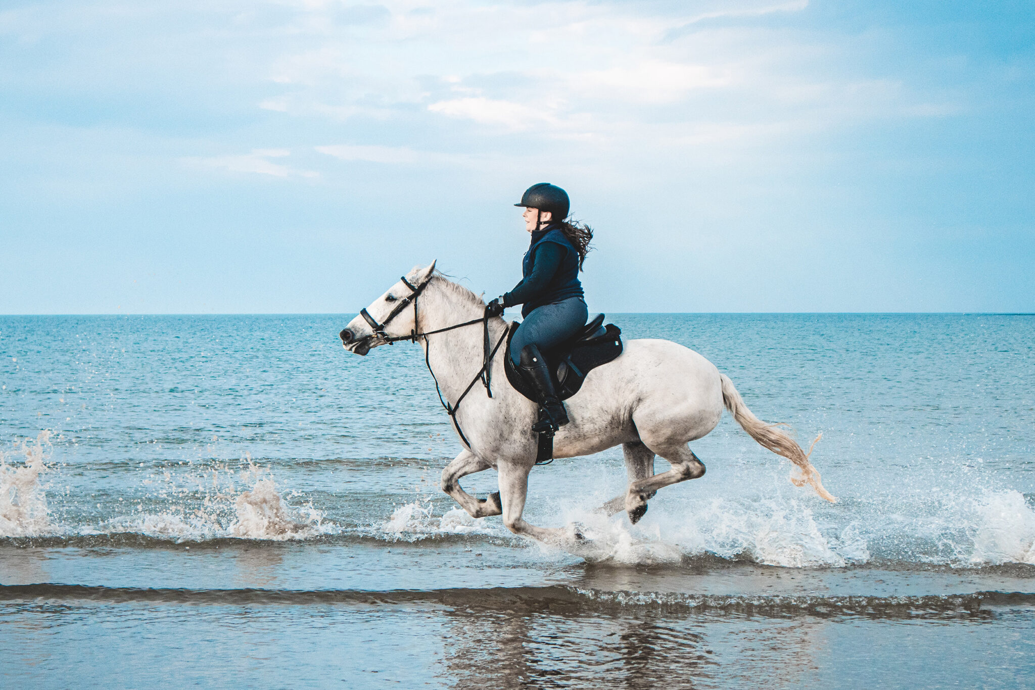 Horse Breed: Connemara - photo by Kyle Mackie - Globetrotting horse riding holidays