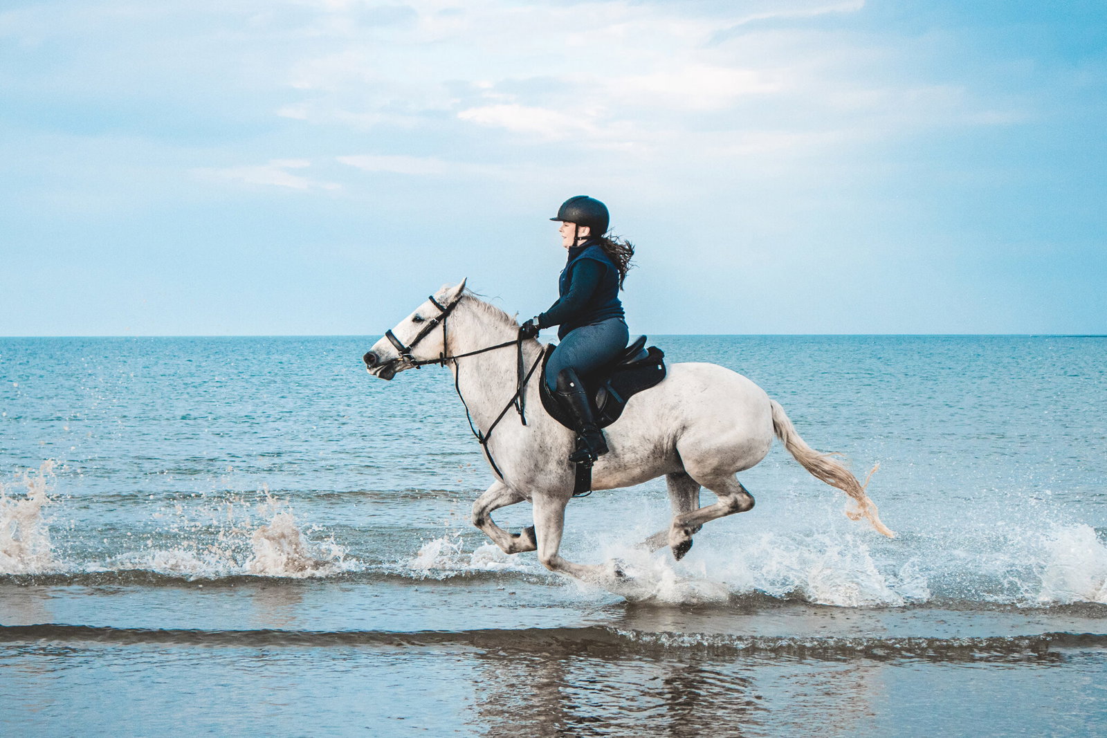 Horse Breed: Connemara - photo by Kyle Mackie - Globetrotting horse riding holidays
