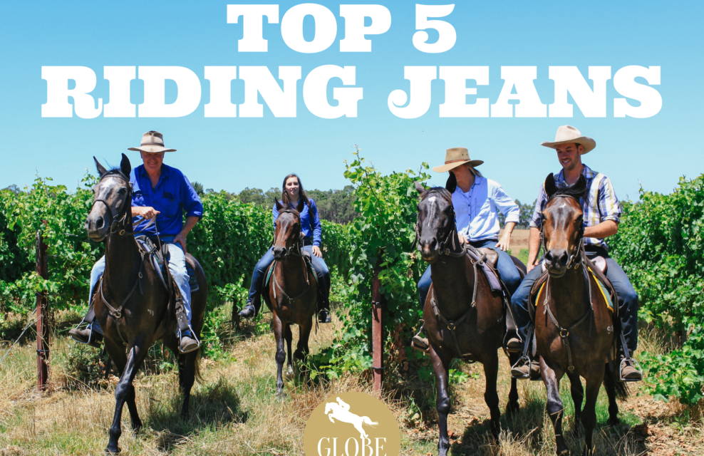 Top 5 riding jeans - Globetrotting horse riding holidays