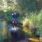 The Shoalhaven Ride, New South Wales, Australia - Globetrotting horse riding holidays