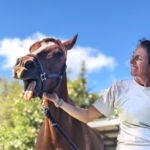 The Shoalhaven Ride, New South Wales, Australia - Globetrotting horse riding holidays