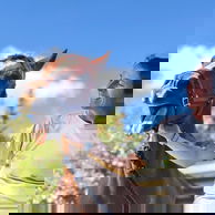 The Shoalhaven Ride, New South Wales, Australia - Globetrotting horse riding holidays