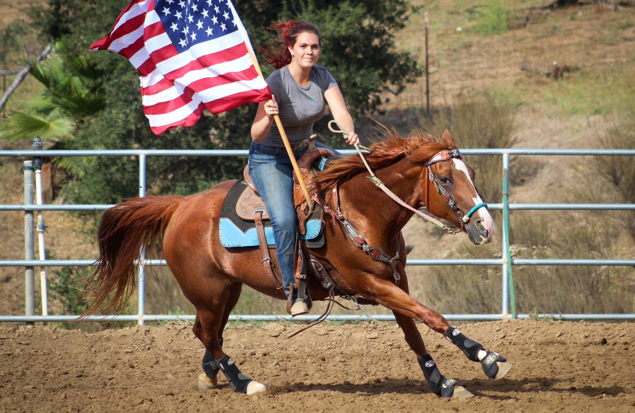 Horse Breed: Quarter Horse - photo by Christine Benton on Unsplash - Globetrotting horse riding holidays