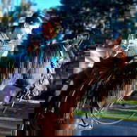 The Shoalhaven Ride, New South Wales, Australia - Globetrotting horse riding holidays