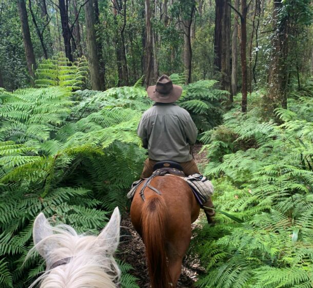 The Yarra Valley Ride, Victoria, Australia - Globetrotting horse riding holidays