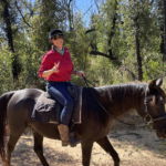 The Shoalhaven Ride, New South Wales, Australia - Globetrotting horse riding holidays