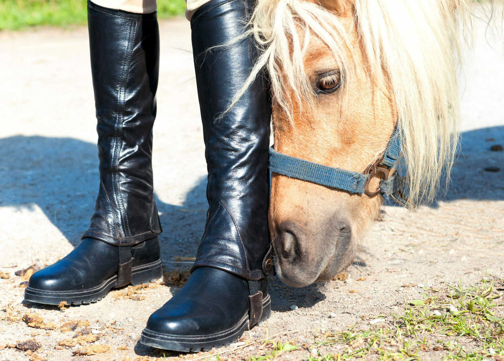 Half Chaps vs Long Boots - photo by AnnaElizabeth photography/Shutterstock.com - Globetrotting horse riding holidays