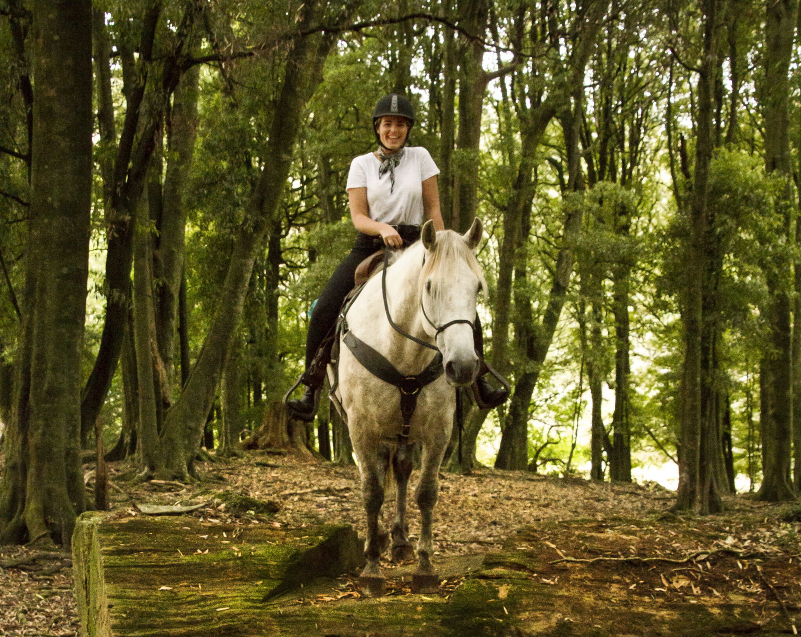 Globetrotting Guest Horse: Te One - The River Valley Ride, North Island, New Zealand - Globetrotting horse riding holidays