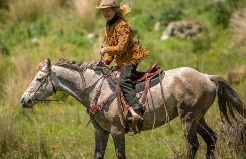 Globetrotting Guest Horse: Te One - The River Valley Ride, North Island, New Zealand - Globetrotting horse riding holidays