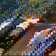 The Shoalhaven Ride, New South Wales, Australia - Globetrotting horse riding holidays