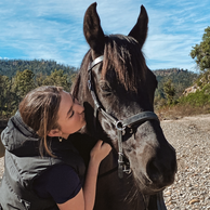 The Shoalhaven Ride, New South Wales, Australia - Globetrotting horse riding holidays