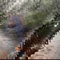 The Margaret River Ride, Western Australia - Globetrotting horse riding holidays