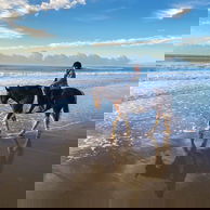 The Shoalhaven Ride, New South Wales, Australia - Globetrotting horse riding holidays