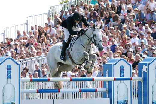 Horse Breed: Dutch Warmblood - image by Jon Kassel on Wikimedia Commons (CC-BY-2.5) - Globetrotting horse riding holidays