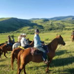 Big Horn Cattle Drive, USA - Globetrotting horse riding holidays