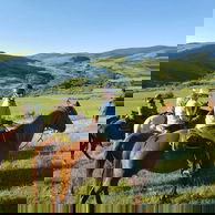 Big Horn Cattle Drive, USA - Globetrotting horse riding holidays