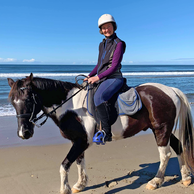 The Shoalhaven Ride, New South Wales, Australia - Globetrotting horse riding holidays