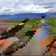 Touch of the Highlands Ride, Iceland - Globetrotting horse riding holidays