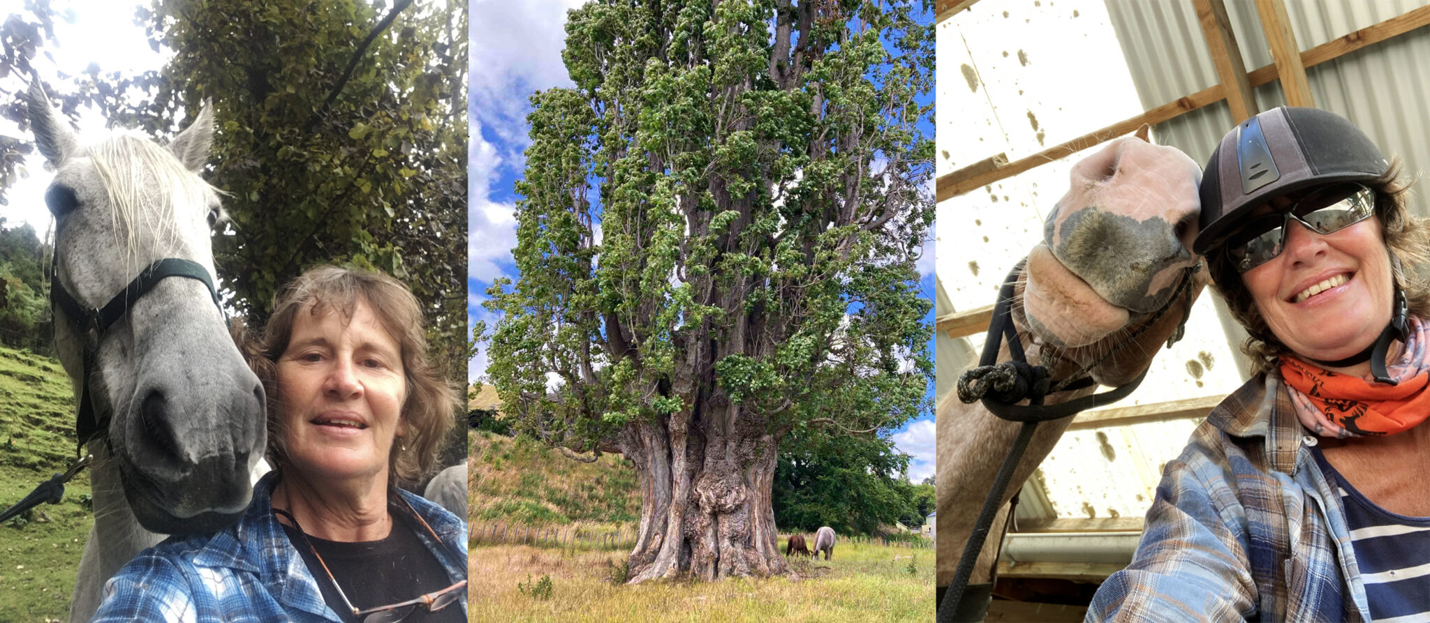 Meet a Globetrotter: Carolyn Ross - Globetrotting horse riding holidays