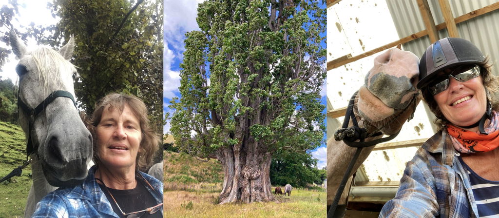 Meet a Globetrotter: Carolyn Ross - Globetrotting horse riding holidays