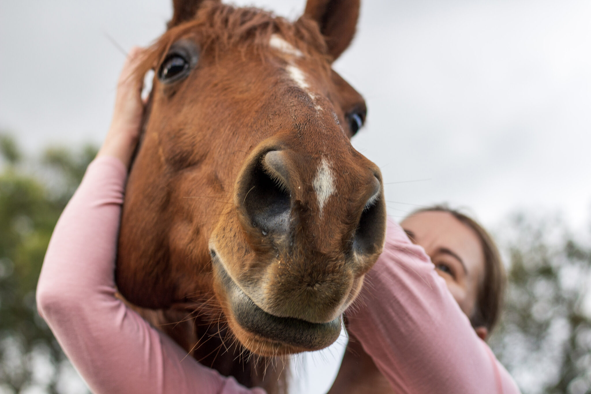 The Yarra Valley Ride, Victoria, Australia - Globetrotting horse riding holidays