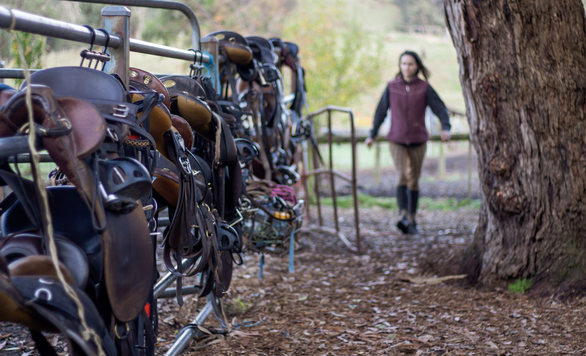 The Yarra Valley Ride, Victoria, Australia - Globetrotting horse riding holidays