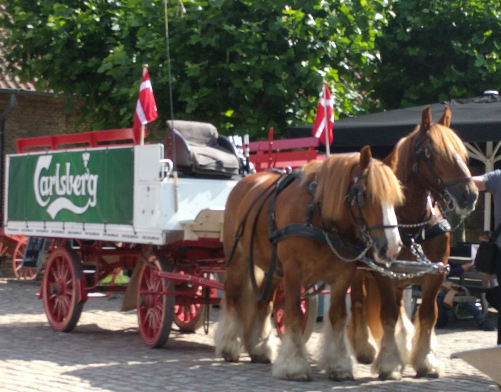 The Carlsberg Horses - photo by Rudolphous on Wikimedia Commons (CC BY-SA 4.0) - Globetrotting horse riding holidays