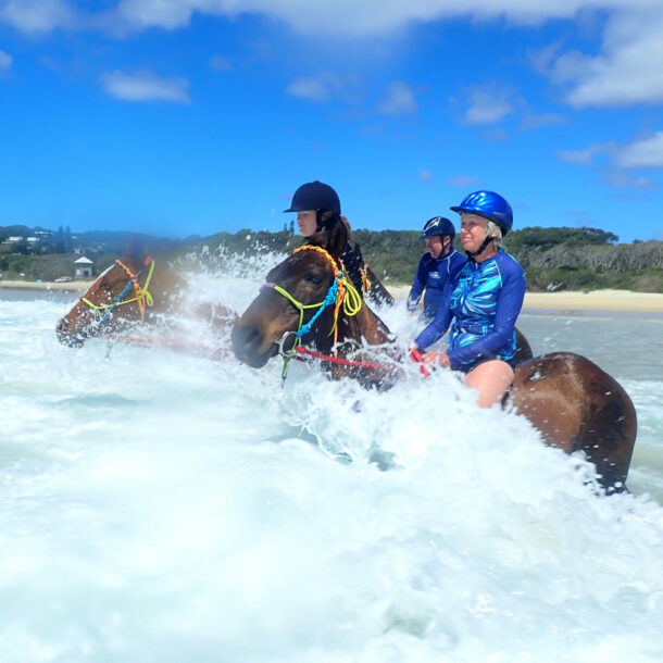 The Rainbow Beach, Bush & Cattle Ride, Queensland, Australia - Globetrotting horse riding holidays