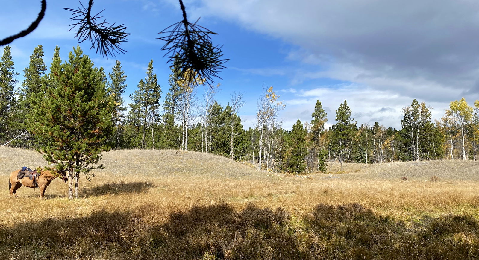 British Columbia, Canada - Globetrotting horse riding holidays